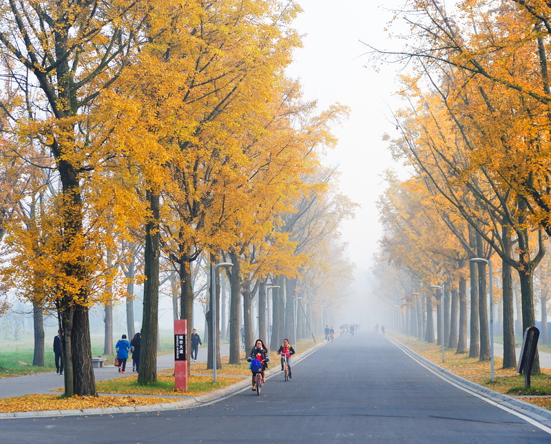 电子科技大学