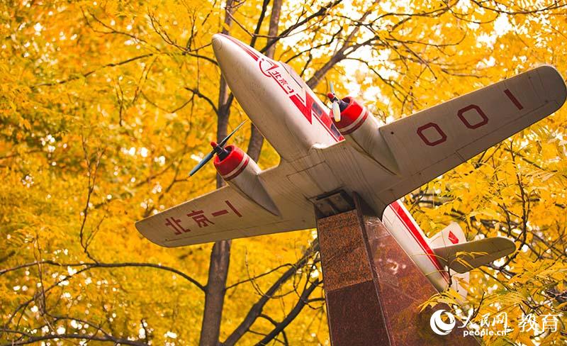 大学校园秋意浓，你为哪抹秋色打call？