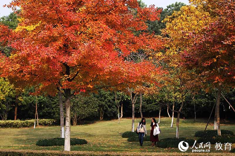 大学校园秋意浓，你为哪抹秋色打call？