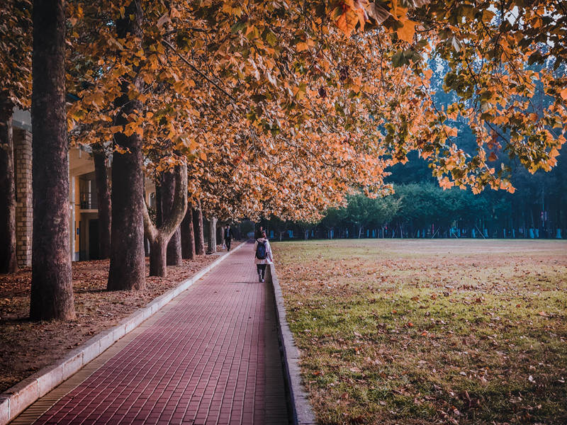大学校园秋意浓，你为哪抹秋色打call？
