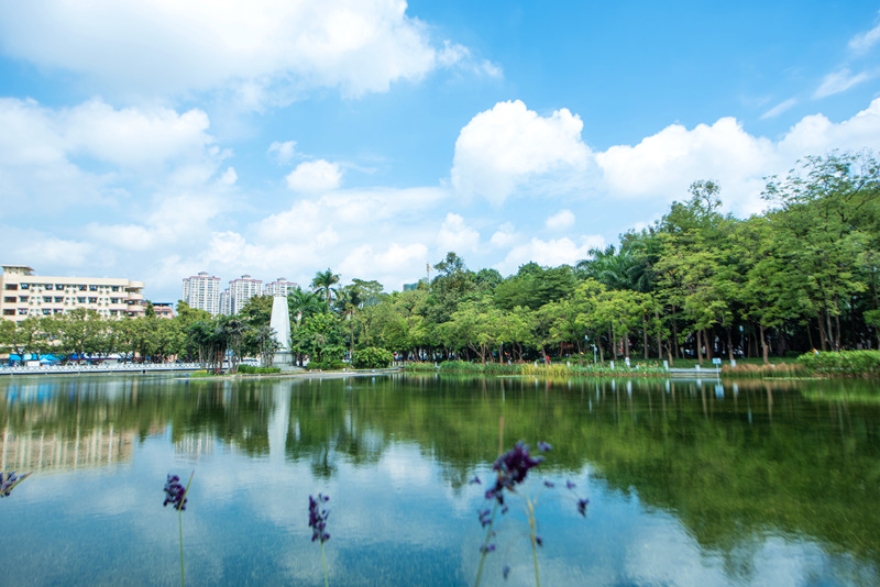 大学校园秋意浓，你为哪抹秋色打call？