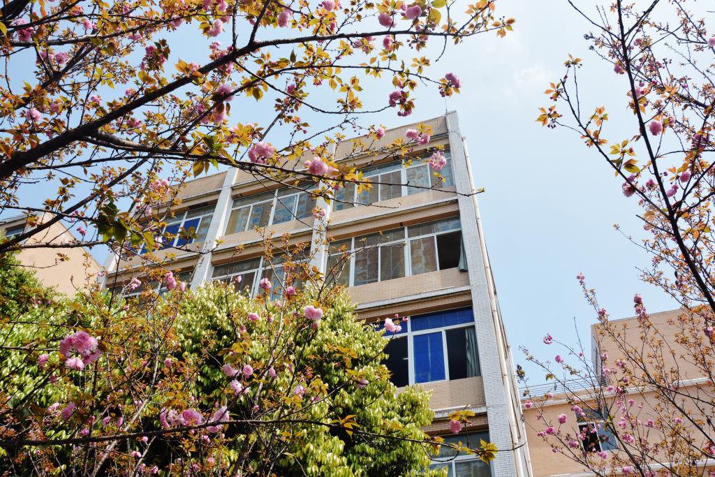 宜宾职业技术学院