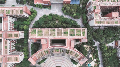 劳动教育来了爸妈不让干？家校合力这些学校有妙招！