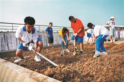 劳动教育来了爸妈不让干？家校合力这些学校有妙招！