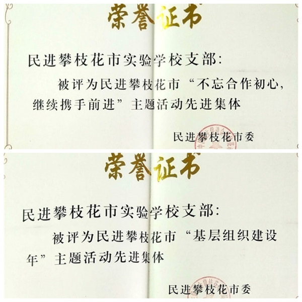 民进攀枝花市实验学校支部基层组织建设硕果累累