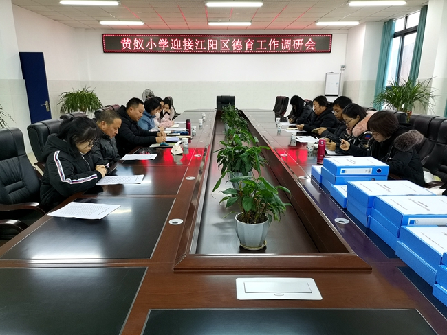 江阳区对全区学校德育工作进行调研
