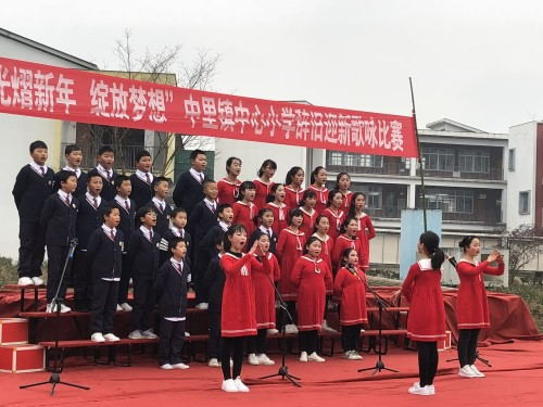雨城区各学校（园）辞旧迎新庆元旦