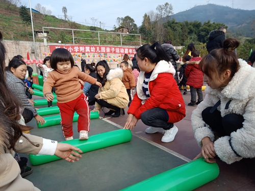 荥经县各校（园）开展迎新年庆元旦活动
