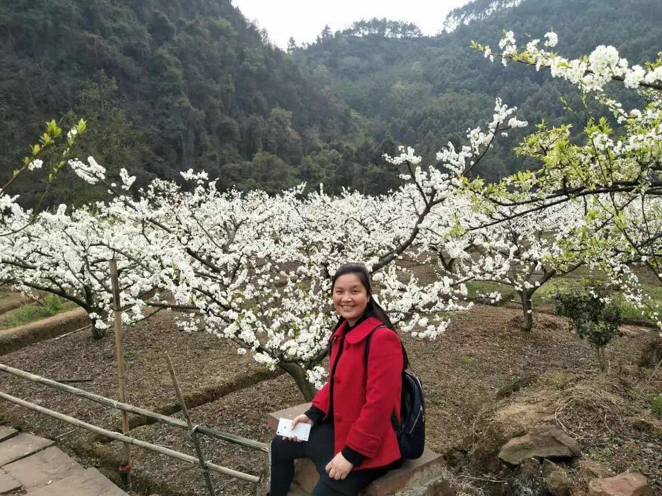 丹棱县：总书记讲话暖人心 教体系统引热议