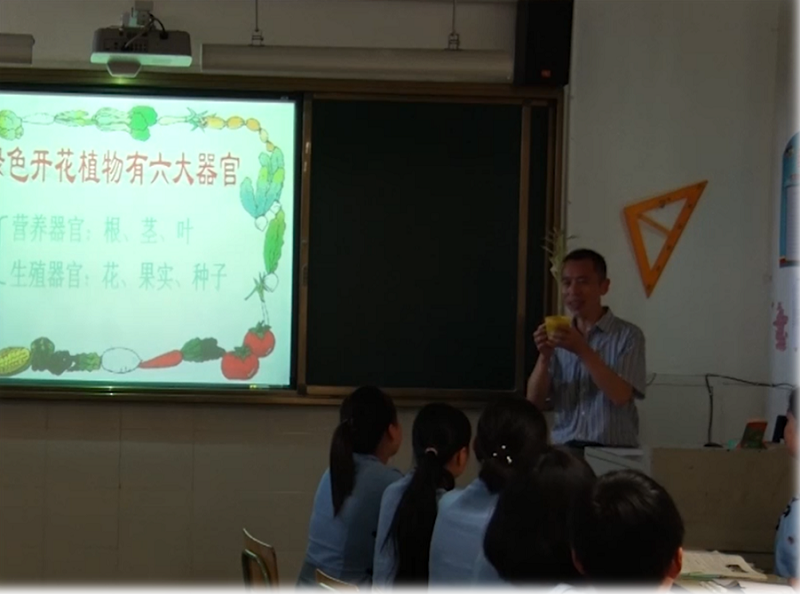 广元市第二届“最美乡村教师”揭晓