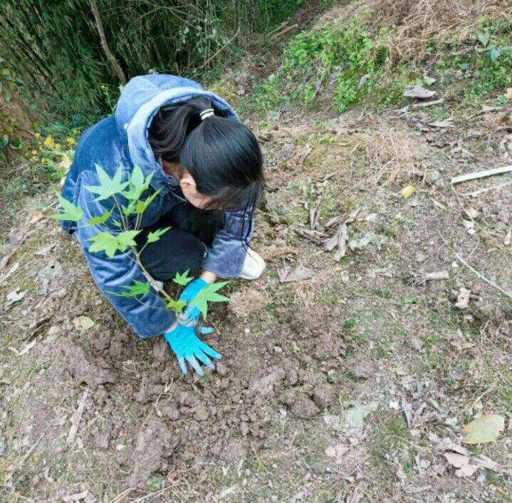 铜茨学校开展植树节活动