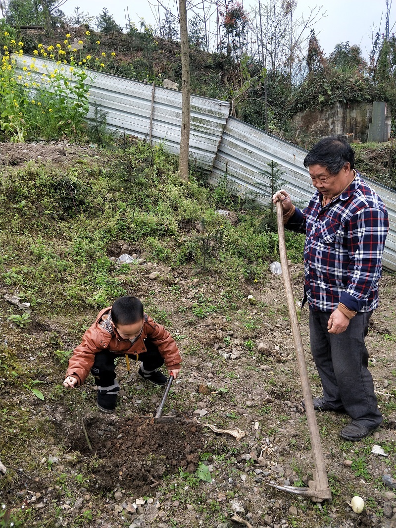 铜茨学校开展植树节活动