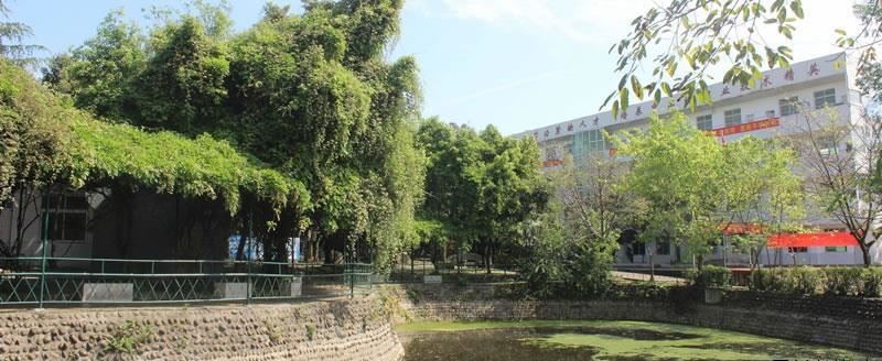 成都青华职业学校（民办）