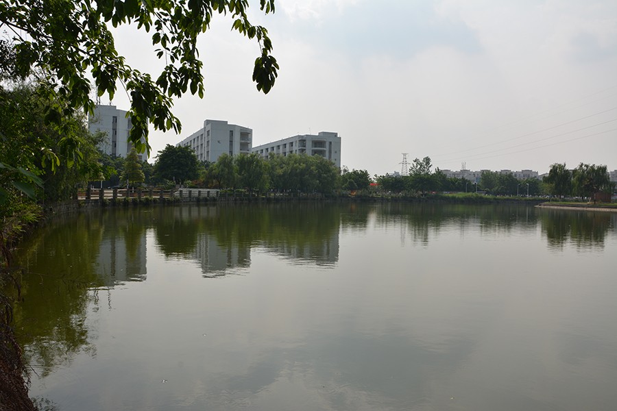 1591011273410617.jpg